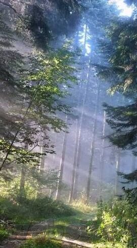 德州扑克ept报名费-德州扑克EPT报名费，解锁顶级赛事的门槛与策略