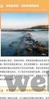 青岛黄海足球比分-绿茵烽火映黄海，青岛黄海足球比分背后的热血与梦想